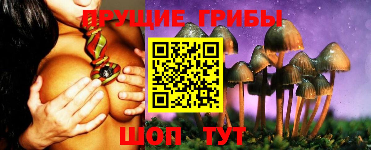 Псилоцибиновые грибы MAGIC MUSHROOMS Узловая